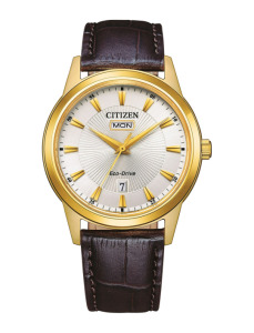 Zegarek męski Citizen Leather AW0102-13AC