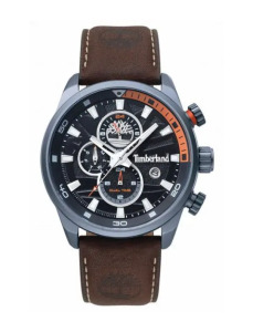 Zegarek męski Timberland Henniker II TBL.14816JLU/02