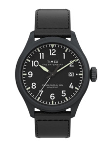 Zegarek męski Timex Waterbury Ace TW2Y18900
